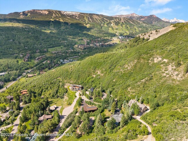 100 Terrace Ln, Snowmass Village, CO 81615 - photo 44