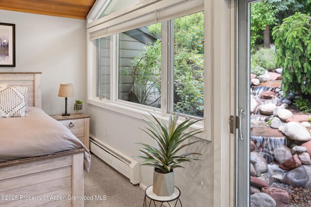 100 Terrace Ln, Snowmass Village, CO 81615 - photo 24
