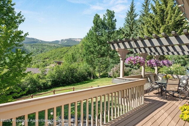 100 Terrace Ln, Snowmass Village, CO 81615 - photo 7