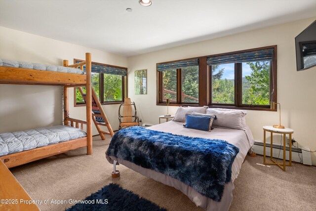 100 Terrace Ln, Snowmass Village, CO 81615 - photo 35