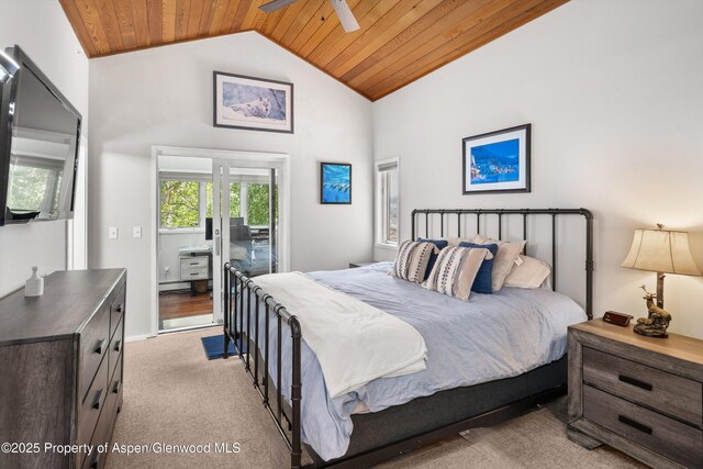 100 Terrace Ln, Snowmass Village, CO 81615 - photo 28