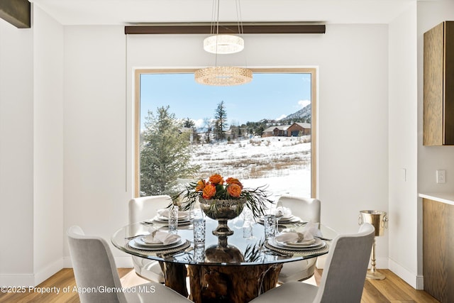 dining space featuring baseboards and wood finished floors