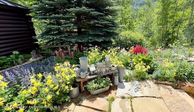 389 Elk Mountain Dr, Redstone, CO 81623 - photo 51