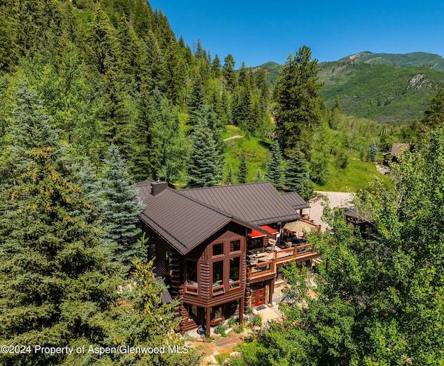 389 Elk Mountain Dr, Redstone, CO 81623 - photo 14