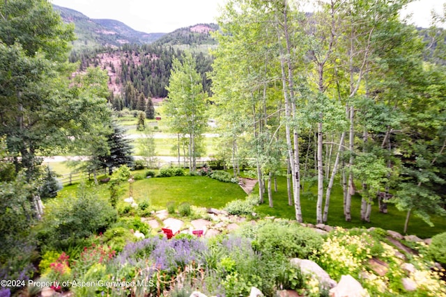 389 Elk Mountain Dr, Redstone, CO 81623 - photo 61
