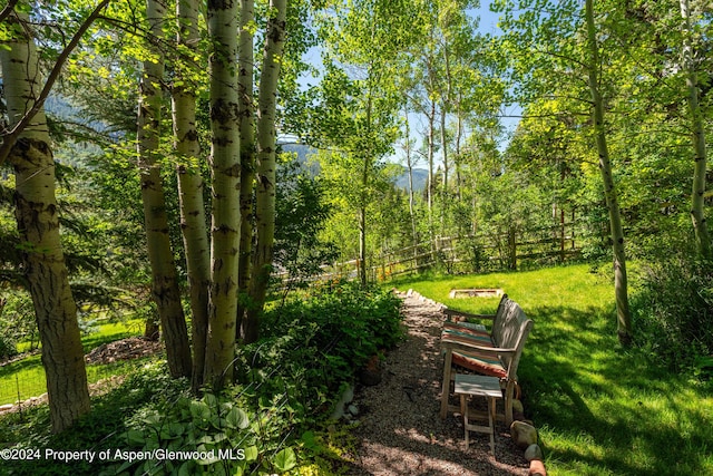 389 Elk Mountain Dr, Redstone, CO 81623 - photo 22