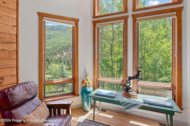 389 Elk Mountain Dr, Redstone, CO 81623 - photo 29