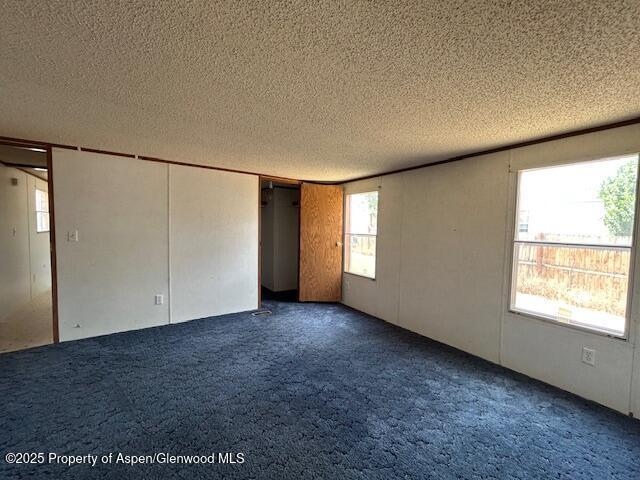 1139 Cottonwood Ave, Craig, CO 81625 - photo 11