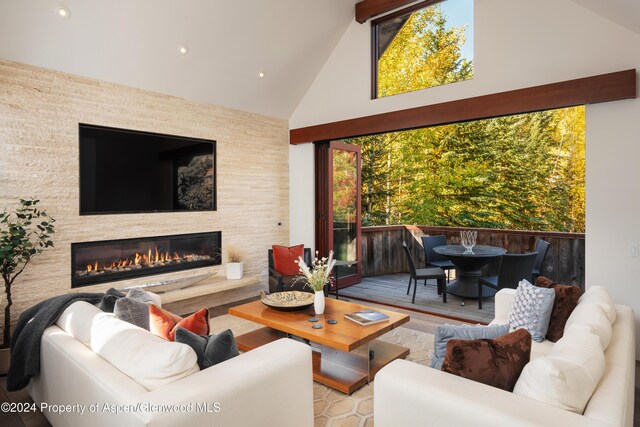 living room with high vaulted ceiling, wood finished floors, and a fireplace