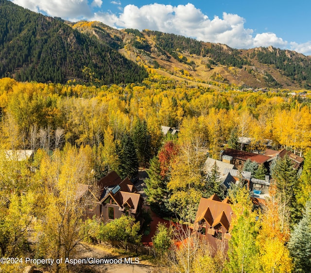 mountain view with a forest view