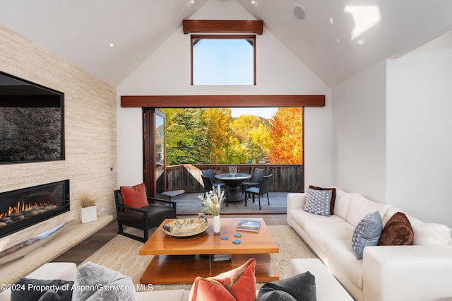 living area featuring a fireplace, wood finished floors, and high vaulted ceiling