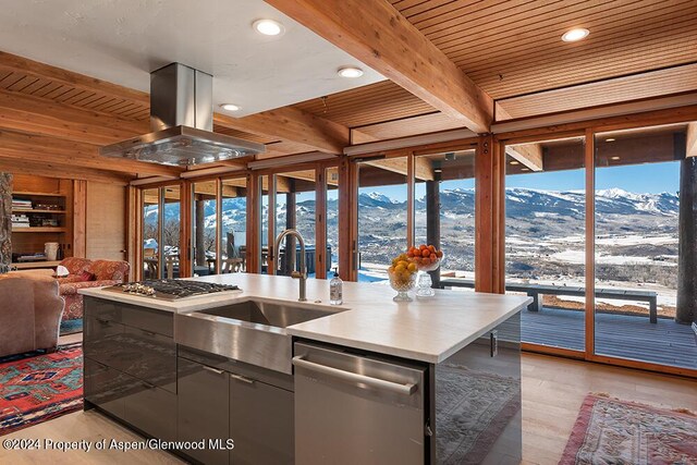 580 Johnson Dr, Aspen, CO 81611 - photo 6