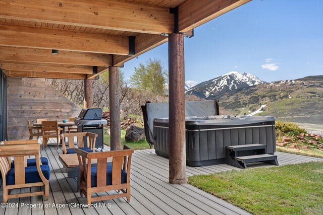 580 Johnson Dr, Aspen, CO 81611 - photo 49