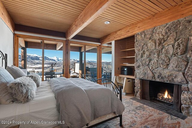 580 Johnson Dr, Aspen, CO 81611 - photo 23