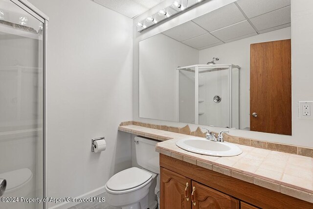 580 Johnson Dr, Aspen, CO 81611 - photo 37