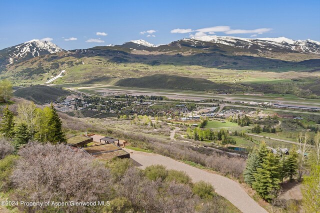 580 Johnson Dr, Aspen, CO 81611 - photo 50