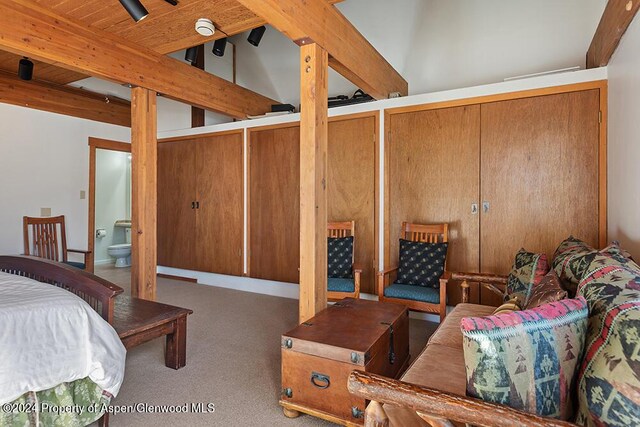 580 Johnson Dr, Aspen, CO 81611 - photo 36