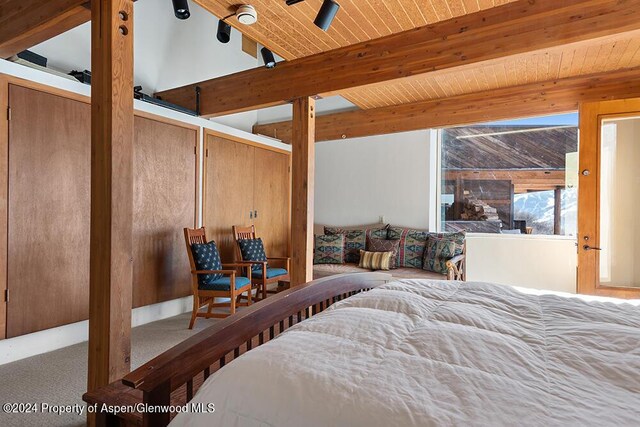 580 Johnson Dr, Aspen, CO 81611 - photo 35