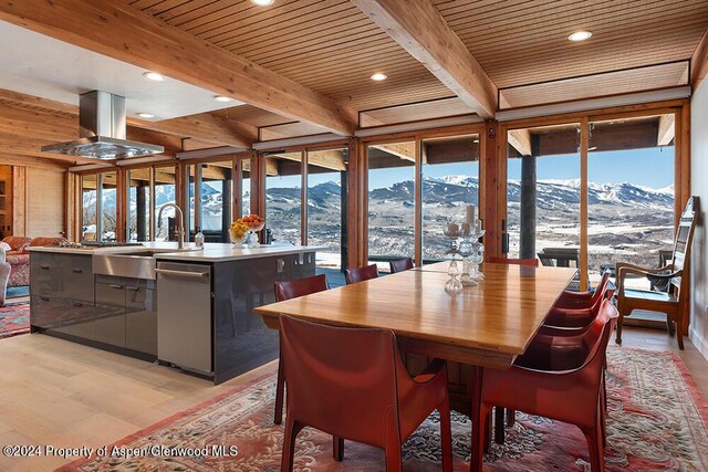 580 Johnson Dr, Aspen, CO 81611 - photo 5