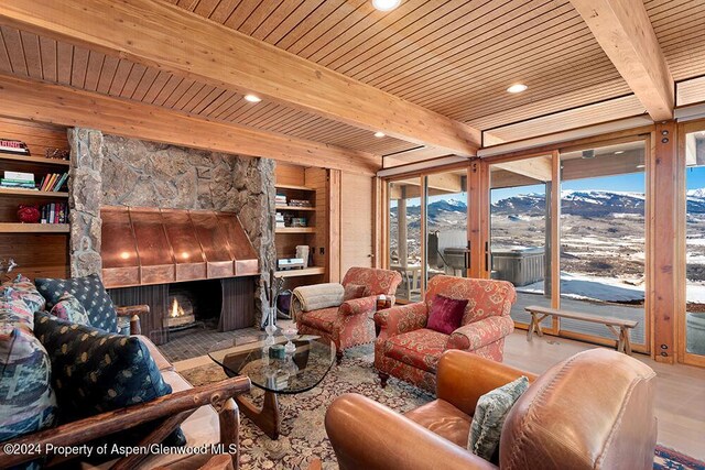 580 Johnson Dr, Aspen, CO 81611 - photo 8