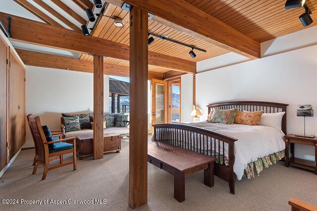 580 Johnson Dr, Aspen, CO 81611 - photo 34