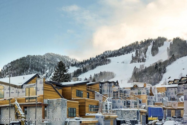 126 Juan St, Aspen, CO 81611 - exterior space featuring a mountain view