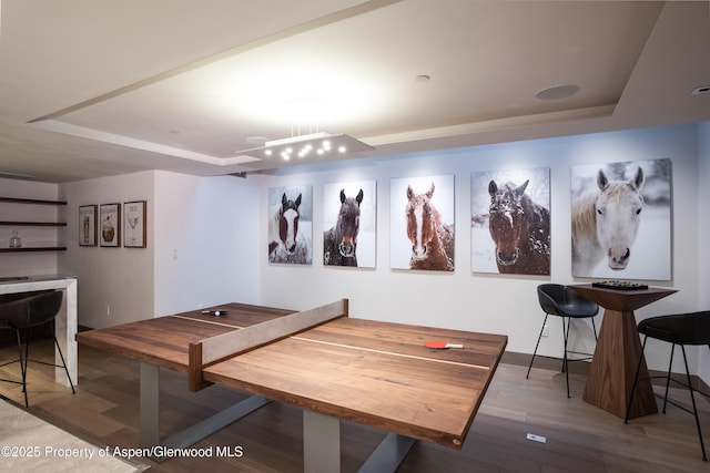 126 Juan St, Aspen, CO 81611 - recreation room featuring a raised ceiling and wood finished floors