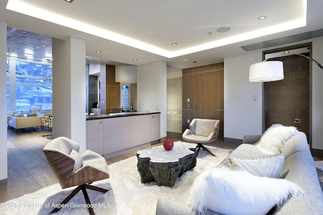 126 Juan St, Aspen, CO 81611 - living room featuring a raised ceiling, light wood-type flooring, and recessed lighting