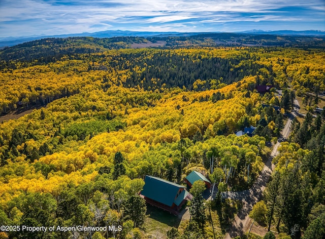 180 Ridge Rd, Gunnison, CO 81230 - bird's eye view of a forest and a mountainous background