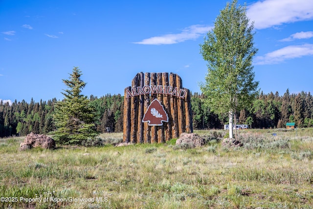 180 Ridge Rd, Gunnison, CO 81230 - view of yard with a view of trees
