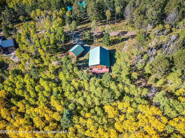 180 Ridge Rd, Gunnison, CO 81230 - drone / aerial view
