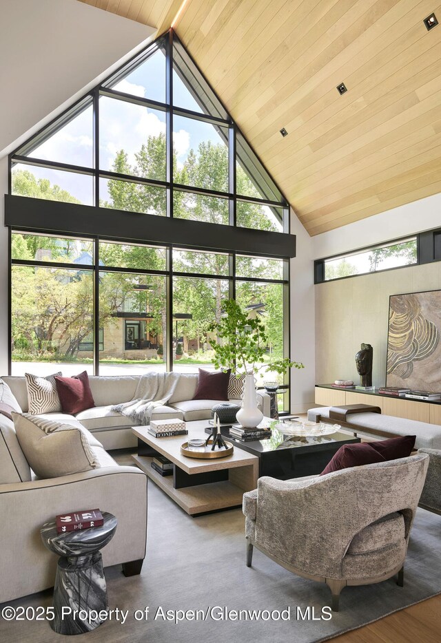 810 W Smuggler St, Aspen, CO 81611 - living area featuring high vaulted ceiling and wooden ceiling