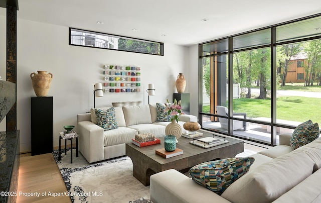 810 W Smuggler St, Aspen, CO 81611 - living area with plenty of natural light, light wood-style flooring, and expansive windows