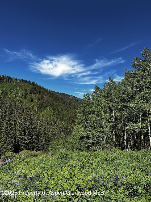 2601 Midnight Mine Rd, Aspen, CO 81611 - photo 1