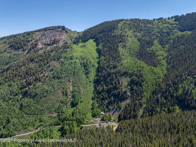 2601 Midnight Mine Rd, Aspen, CO 81611 - photo 10
