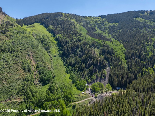 2601 Midnight Mine Rd, Aspen, CO 81611 - photo 9