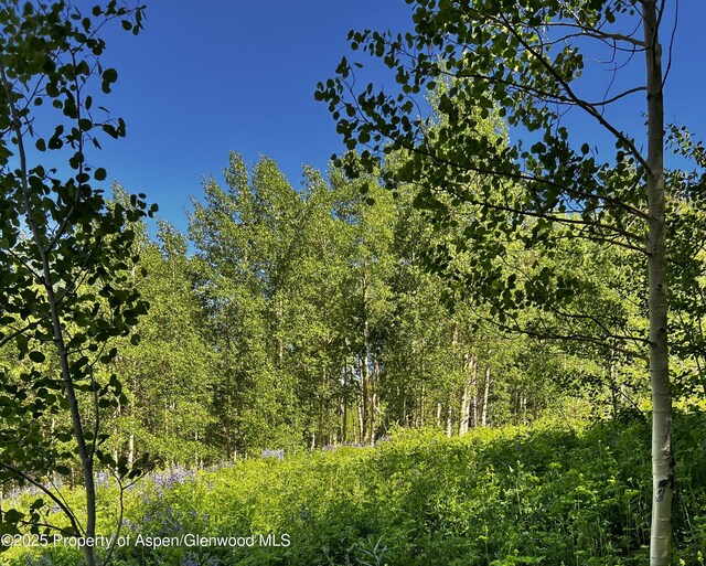 2601 Midnight Mine Rd, Aspen, CO 81611 - photo 5