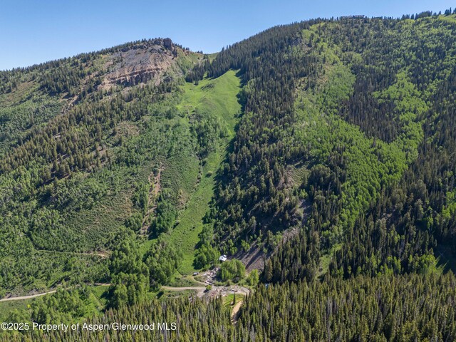2601 Midnight Mine Rd, Aspen, CO 81611 - photo 11
