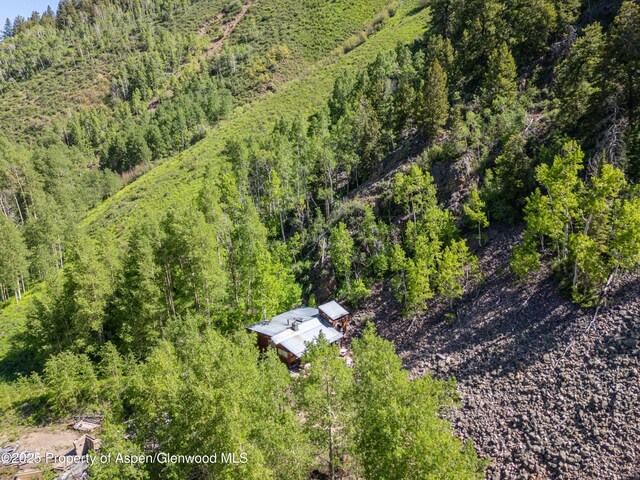 2601 Midnight Mine Rd, Aspen, CO 81611 - photo 8