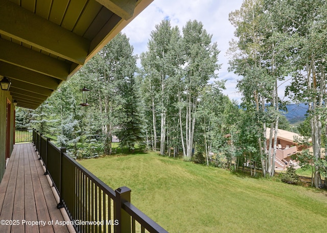 132 Meadow Ln, Snowmass Village, CO 81615 - photo 10
