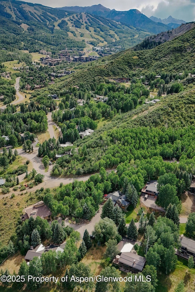 132 Meadow Ln, Snowmass Village, CO 81615 - photo 37