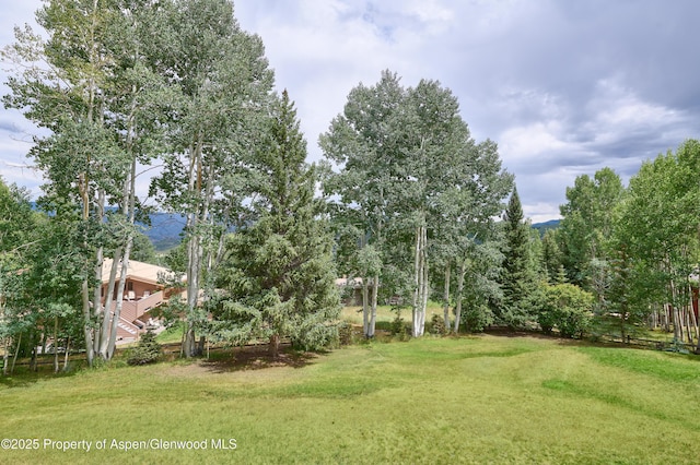 132 Meadow Ln, Snowmass Village, CO 81615 - photo 34