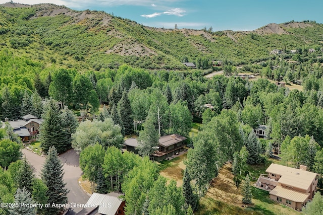 132 Meadow Ln, Snowmass Village, CO 81615 - photo 2