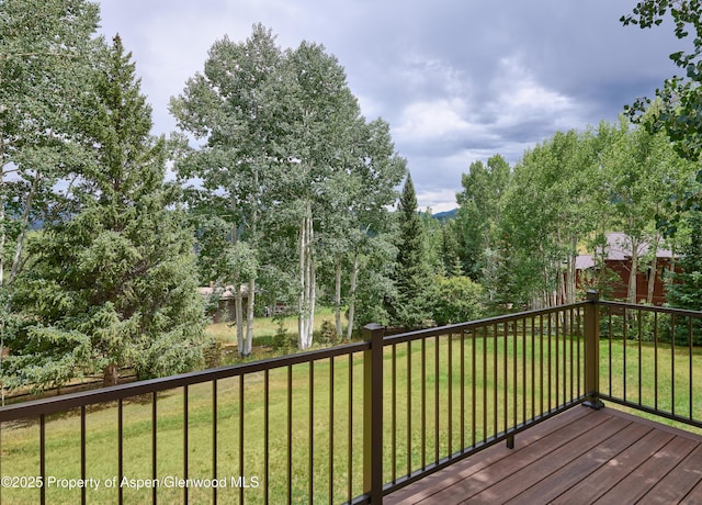 132 Meadow Ln, Snowmass Village, CO 81615 - photo 11