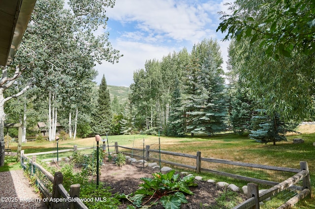 132 Meadow Ln, Snowmass Village, CO 81615 - photo 27