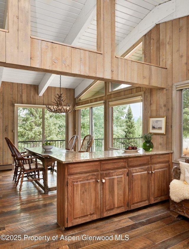 132 Meadow Ln, Snowmass Village, CO 81615 - photo 13