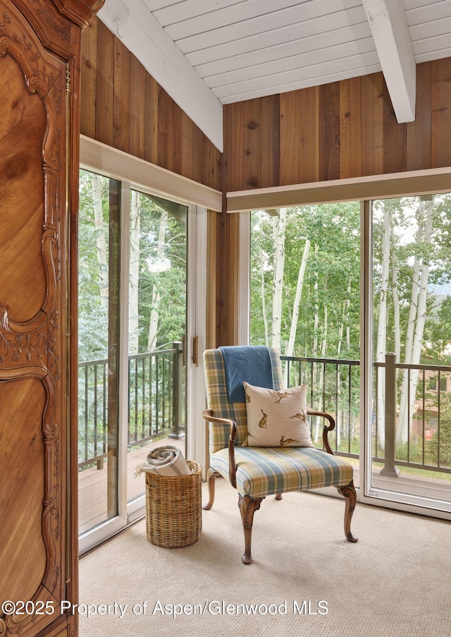 132 Meadow Ln, Snowmass Village, CO 81615 - photo 16