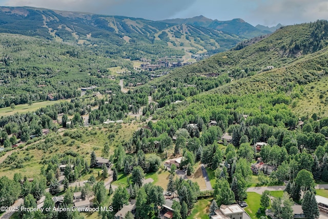 132 Meadow Ln, Snowmass Village, CO 81615 - photo 36