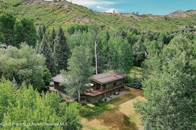 132 Meadow Ln, Snowmass Village, CO 81615 - photo 33