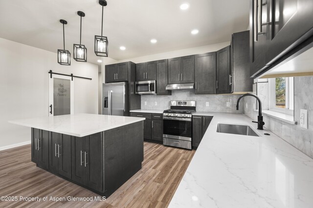964 E 17th St, Rifle, CO 81650 - kitchen with appliances with stainless steel finishes, a sink, under cabinet range hood, dark cabinetry, and a barn door